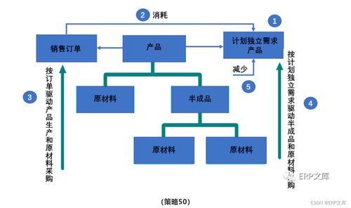 sap erp系统pp模块计划策略20 50详解